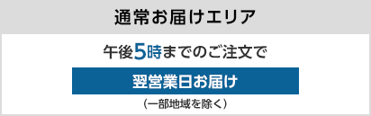 通常お届けエリア 午後5時までのご注文で翌営業日お届け（一部地域を除く）